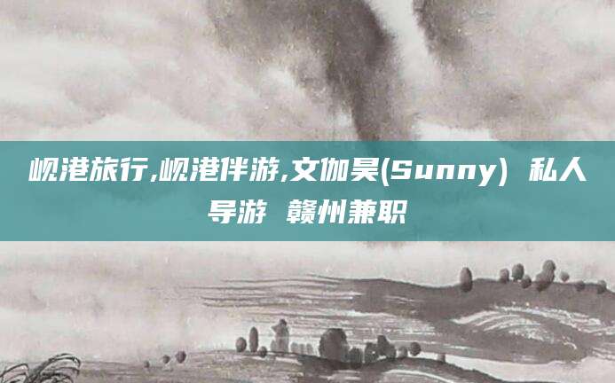 沭阳岘港旅行,岘港伴游,文伽昊(Sunny) 私人导游 赣州兼职