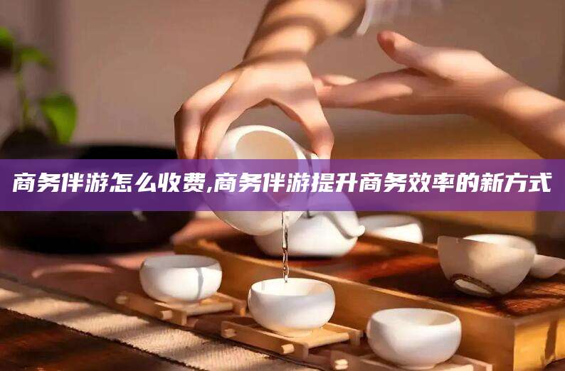 沭阳商务伴游怎么收费,商务伴游提升商务效率的新方式