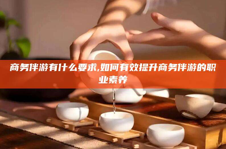 沭阳商务伴游有什么要求,如何有效提升商务伴游的职业素养