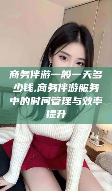 沭阳商务伴游一般一天多少钱,商务伴游服务中的时间管理与效率提升